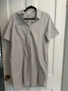 Everlane White and Gray Pinstriped Short Sleeve Button-Down Dress